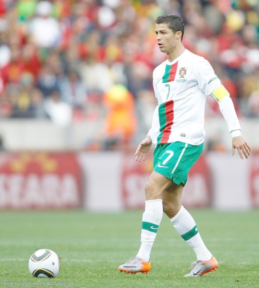 了她购买的 了她购买的